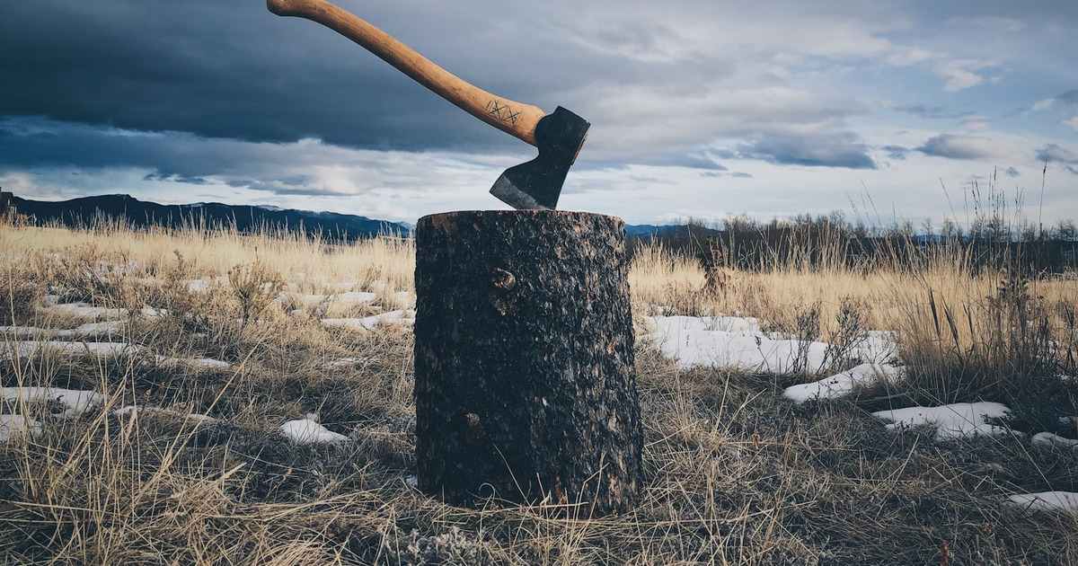 Beautiful picture of Axe Throwing