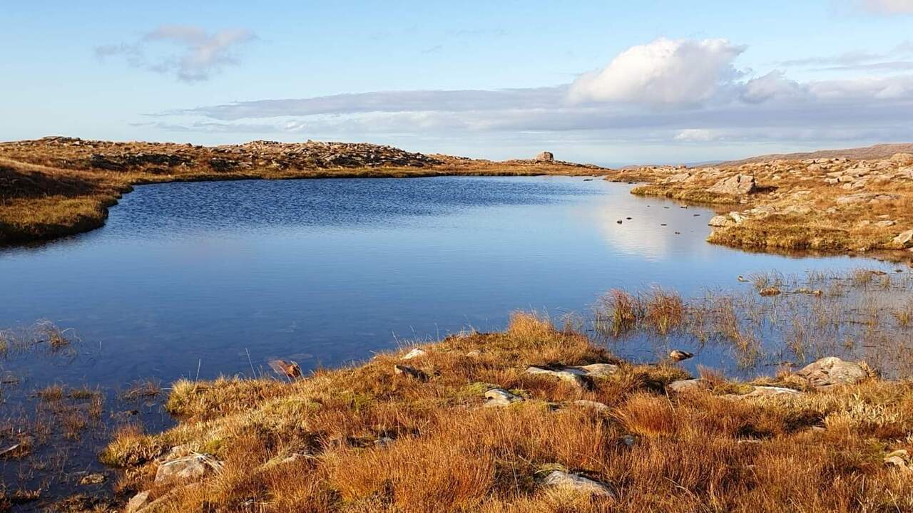 Beautiful Picture of Nature